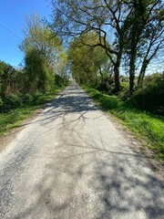 Paysage rural, chemin de campagne 
