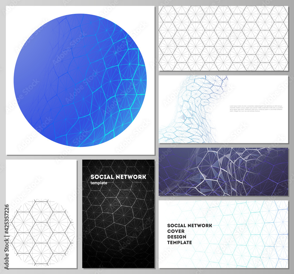Poster abstract vector layouts of modern social network mockups in popular formats. digital technology and 