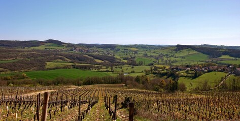 Fototapeta na wymiar Panorama de la Côte Chalonnaise entre vigne et bocage.