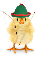Cute chick Robin Hood with bow and arrow funny conceptual photo