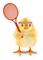 Cute cool chick tennis player with racket or funny conceptual image