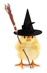 Cute cool chick scary witch with broom funny conceptual image