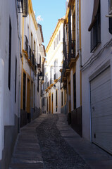 Fototapeta na wymiar Narrow street in the old town of Cordoba, Spain