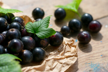 Appetizing sweet black currants on wooden textuerd table, composition with seasonal raw berries
