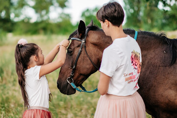 Child therapy for a walk with a horse. Emotional contact with the horse. Walk mother and daughter in the summer in the park with a horse.