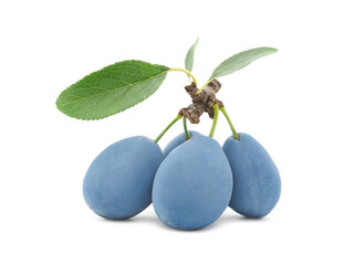 Ripe plums with green plum leaves isolated on white - obrazy, fototapety, plakaty
