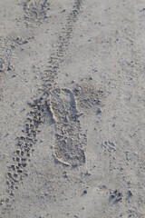 tire tracks and footsteps in the dirt