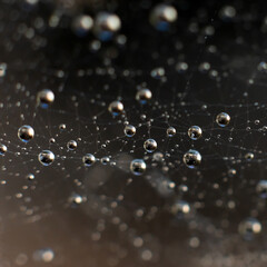 Abstract background with gradients and macro little round water drops on blurred backdrop with...