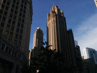 Fototapeta premium Overview of Downtown Chicago, IL - July 2015