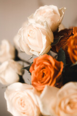 bouquet of roses close-up on a powdery background. greeting card concept. vertical image