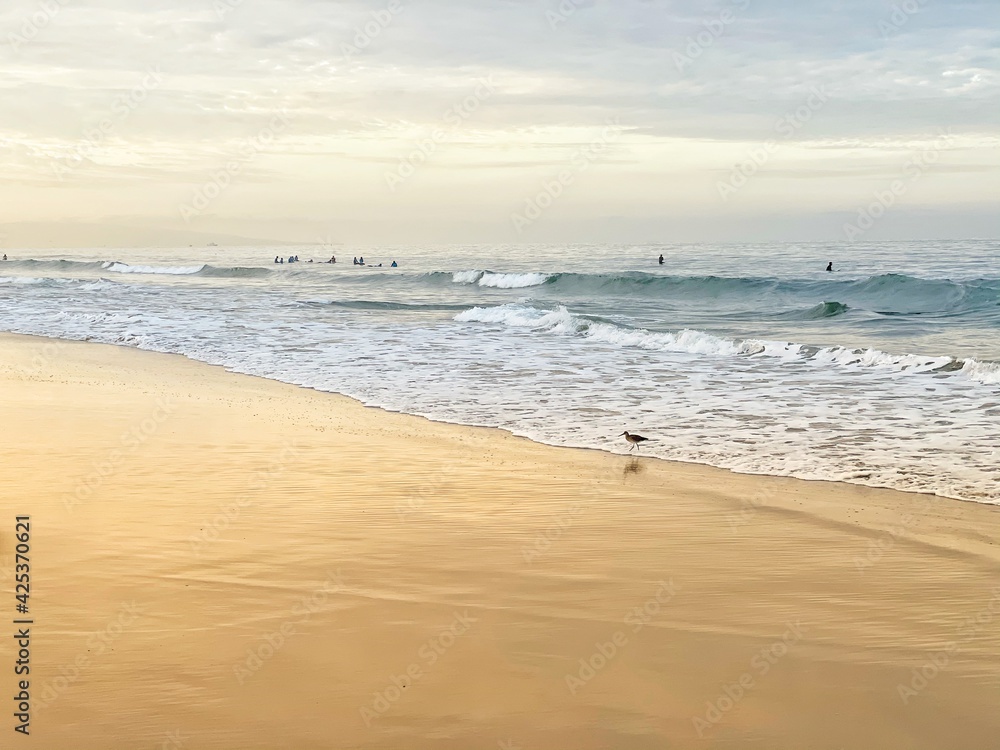 Wall mural morning surf at sunrise