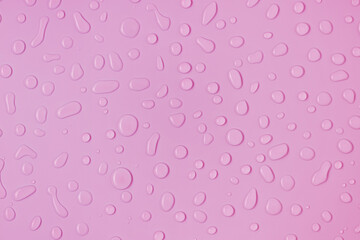 Liquid water drops on pink background, rain condensation flat lay, top view