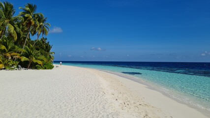 palm trees close to the ocean with turquoise water