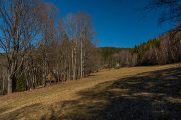 Spring color meadow in valley of river Uhlava with Brcalnik small village