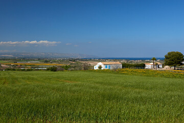 Fototapeta na wymiar fields and flowers in spring around Pachino Syracuse in Sicily and the typical farmhouses