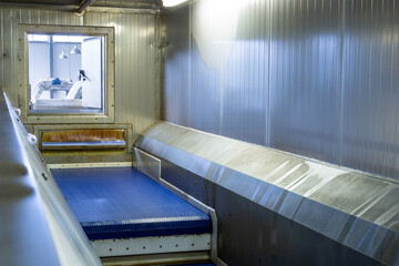 Fototapeta premium Conveyor belt in the instant freezing chamber for berries, fruits and vegetables.