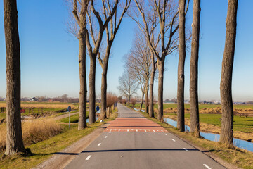 A road with bare trees through the landscape in winter.