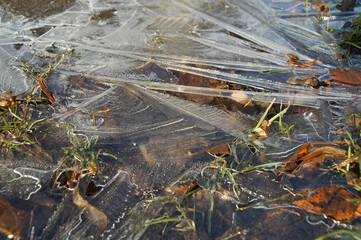 Background of cracked ice on fallen leaves