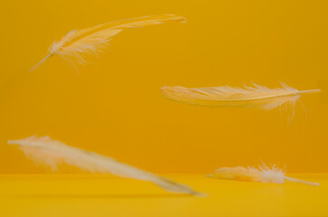 Some yellow and white feathers falling in the air