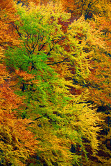 Fall landscape in Mehedinti Mountains, Romania, Europe