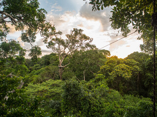 Obraz premium rainbow