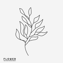 Flower icon on white background, isolated. Floral sign for luxury minimalistic boho design. No fill and thin outlines, plant symbol, garden and greenery with stem. Flower sketch vector illustration