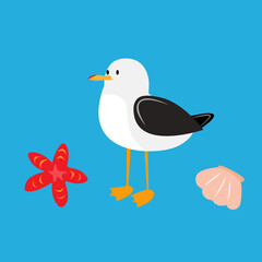 set of seagulls, starfish, and seashells. marine illustration. stock vector image.