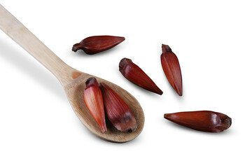 Typical araucaria seeds used as a condiment in Brazilian cuisine in winter. Brazilian pinion nuts in brown and red wooden bowl on White background