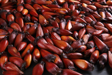 Typical araucaria seeds used as a condiment in Brazilian cuisine in winter. Brazilian pinion nuts in brown and red wooden bowl on gray wooden background