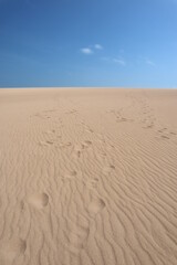 Footsteps on a beige sand dune in Taroa la guajira colombia with a blue sky, walking in the heat in a dry and sunny day in the desert 