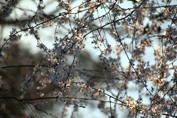 Developed using darktable 3.2.1
