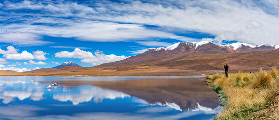 The traveler takes pictures of Pink flamingo in the lake. Lake Hedionda in Bolivia. Panoramic view.