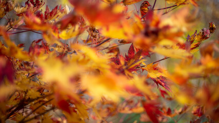 Refugiarse al aire libre