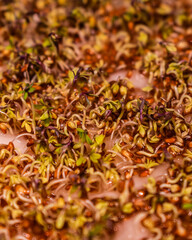 Przedmiot produkt zdjęcie czarne tło