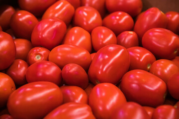 Lots of red tomatoes