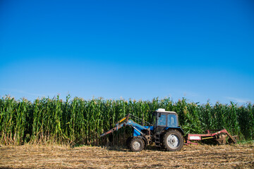 Fototapeta premium Tractor stands on the background of a corn field