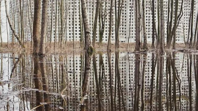 Construction of the high floor house, View from park through trees standing in water, slow movement of a video camera, concrete blocks without windows and facade finishing, cloudy weather