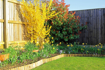 Colourful Spring Flowers And Shrubs In A Garden Border Surrounded By A Wooden Fence