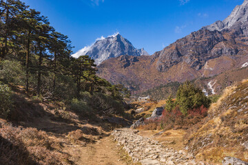 Way to Kumjung. Himalayas, Nepal