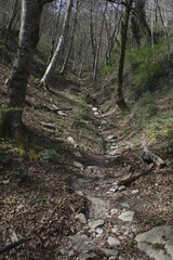 Landscape in the interior of Basque Country