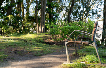 lonely bench in the park