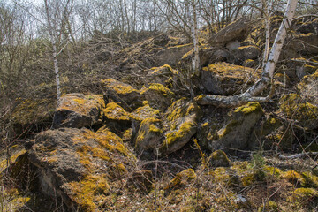 lavagestein an der horngerg-insel-sandgrube bei siefersheim