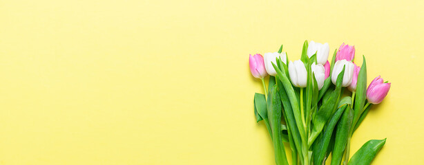 Long wide banner with beautiful tulip flowers on light yellow background. Spring greeting card template. Mother’s Day background.