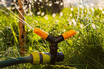 Lawn watering with automatic irrigation sprinkler system at sunset.