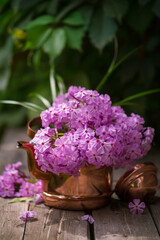 Pink phloxes in a copper teapot on a wooden table in the garden. Summer bouquet