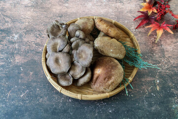 笊に盛った平茸と椎茸