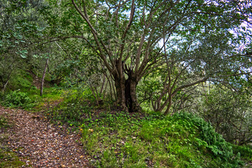 Castillo de Xátiva / Játiva