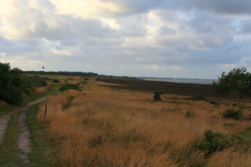 Naklejka premium Sylt in Nordfriesland | Braderuper Heide