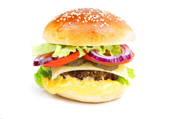 Cheeseburger isolated on a white background. Hamburger with cheese. Burger isolated