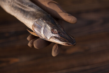 Smoked pike on a wooden stand. Appetizing fish. Rustic concept. Pike. 